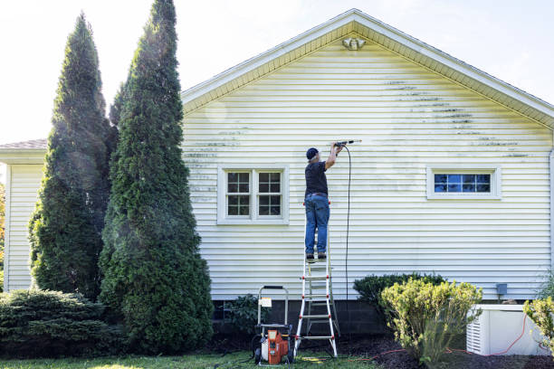 Best Graffiti Removal Services in Madison, NC